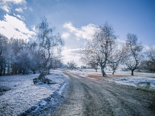 Dirty Road On A Snowy Field With Some Trees In The Background