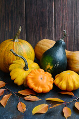 Multicolored zucchini and pumpkins of different varieties on a wooden background. Vertical