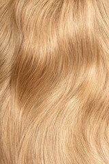 Blond hair close-up as a background. Women's long blonde hair. Beautifully styled wavy shiny curls. Hair coloring. Hairdressing procedures, extension.