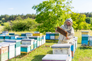 Beekeeping man with wooden frame in apiary. Professional beekeeper holding honeybee frame.