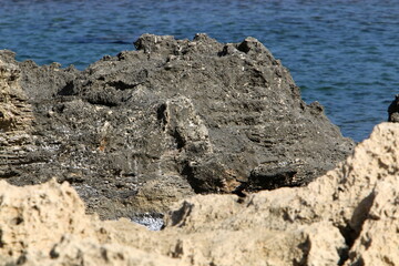 Rocks on the shores of the Mediterranean Sea in northern Israel.