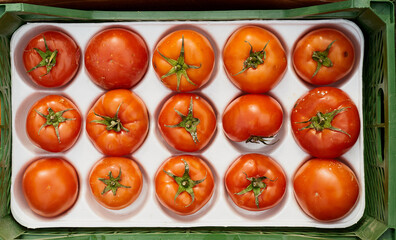 A spoiled red tomato, neatly arranged in a portable shopping basket. Top view of the damaged product.
