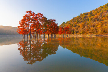 Lake Sukko autumn landscape