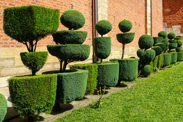 Garden with formed green decorative bushes of various geometric cut out shapes, shaped bushes