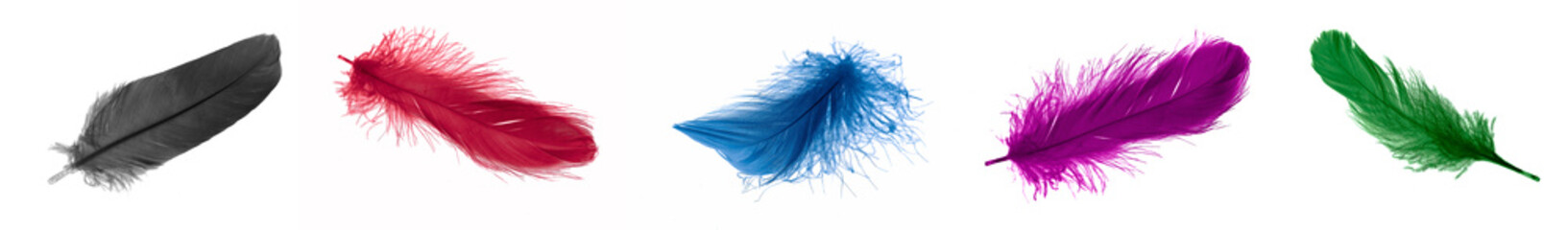 colorful feathers of a goose on a white isolated background © Krzysztof Bubel