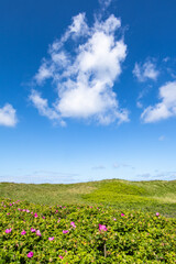 Landscape of Thy National Park