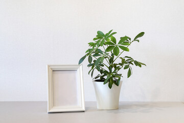 Mock up minimalist home interior with empty white wooden photo frame and potted green house plant