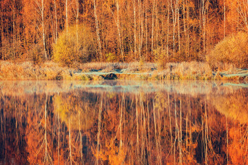 Forest by the lake at autumn morning.