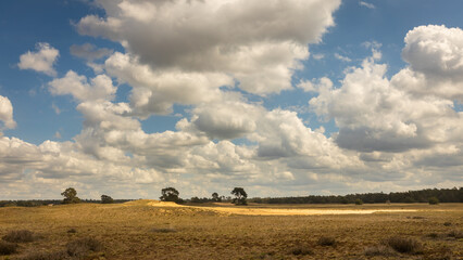 Fototapeta na wymiar Clouds above the Dutch landscape