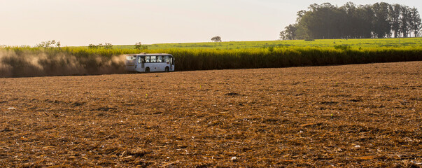 Sugar cane truck on the road