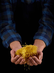 Bulgur grains in hands on a dark background. Hands of man pour grain of bulgur. Close-up