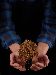 Buckwheat grains in hands on a dark background. Hands of men pour grain of buckwheat. Close-up