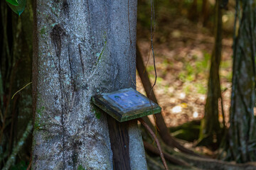 Panneau d'information sur un arbre 