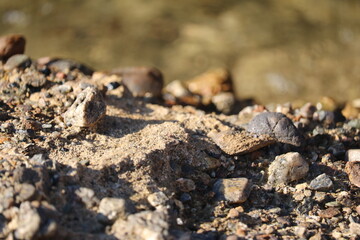 ROCHERS DANS LA MÈRE 