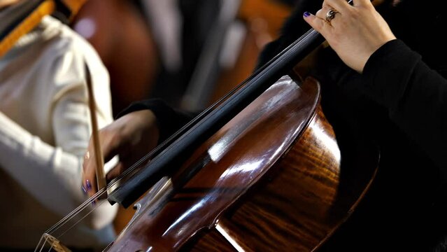 symphony orchestra concert female musician playing cello close-up
concept of developing musical taste classical music
playing stringed classical musical instruments
talented people in art