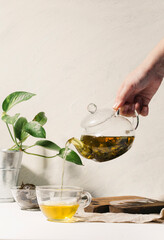 Hand pouring herbal tea from a glass teapot into a clear cup on a minimalist table with a green...