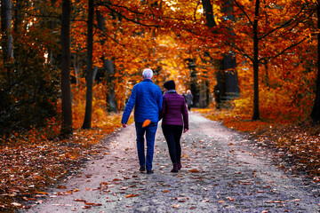 Älteres Paar beim Spaziergang im Wald im Herbst
