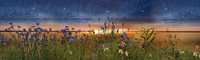  wild  flowers  , gold sunset , sea water ,starry sky and moon  banner background template