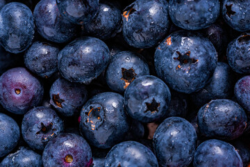 Fruit close up