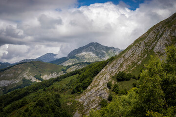 Sunny and summer landscape of the forested mountains of the Picos de Europa National Park in Asturias, Spain