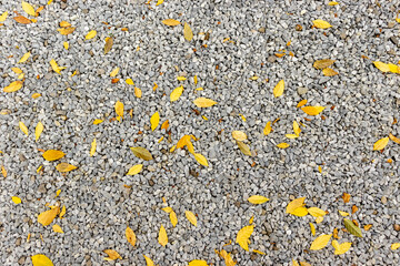 Gravel road with many orange leaves. Top view of gravel texture pattern with many autumn orange leaves. Autumn