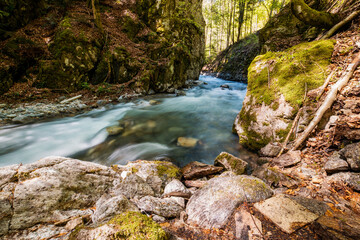 Naklejka na ściany i meble Mountain river flowing in a deep green forrest. Long exposure, water flow in motion. Vajskovsky potok, Low Tatras National Park.