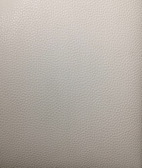 Fondo con detalle y textura de superficie de piel en tonos blancos, con degradado suave de luz