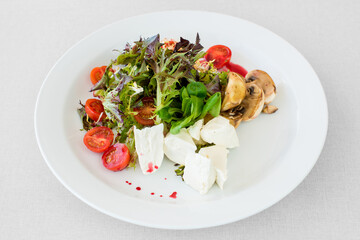 Vegetable cheese salad with mushrooms