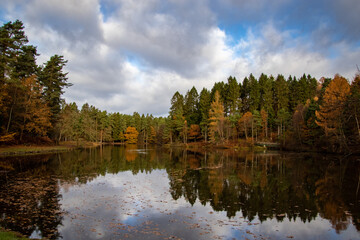 Fototapeta premium Autumn trees