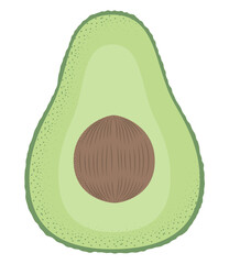 fresh avocado vegetable