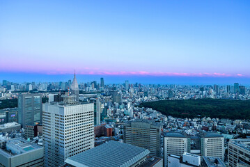 Fototapeta na wymiar Skyscrapers towering over the cityscape of Nishi-Shinjuku, Tokyo, Japan at sunset