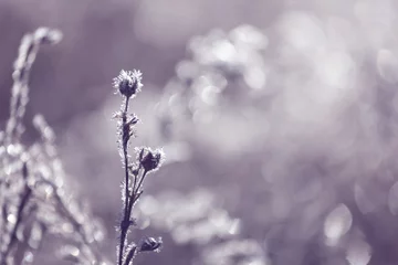 Rucksack Frozen meadow © Galyna Andrushko