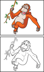 Coloring book cute orangutan. Coloring page and colorful clipart character. Vector cartoon illustration. © rubynurbaidi