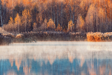 Fog above the lake at autumn morning. - obrazy, fototapety, plakaty