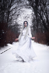 Fototapeta na wymiar Cosplay snow queen in the forest in winter