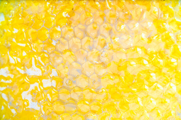honeycomb of bee honey close-up background