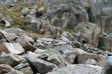Pyrenees, Carros de Foc hiking tour. A week long hike from hut to hut on a natural scenery with lakes, mountains and amazing flora and fauna.
