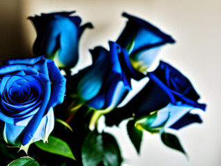 鮮やかな青いバラ