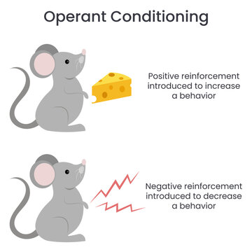 Operant Conditioning educational vector illustration infographic
