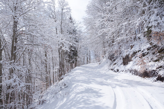 Upland Bilder Durchsuchen 646,860 Archivfotos, und