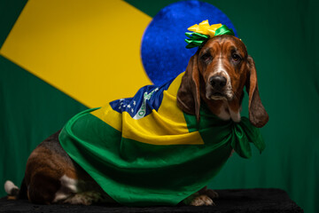 Cachorro com bandeira do Brasil para a Copa do Mundo de Futebol