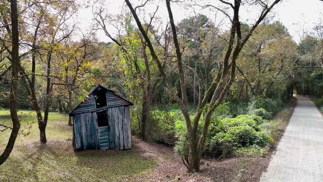 old shed damaged (scary) in the woods next to dirt road on the right side and pale sky