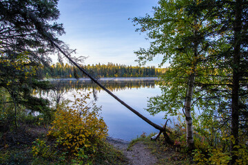 fall at the lake
