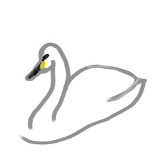 鳥シリーズ、白鳥