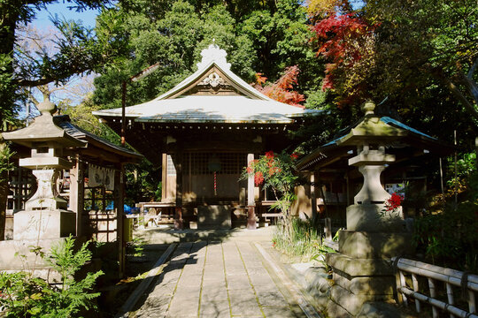 「調布」の画像 1,355 件の Stock 写真、ベクターおよびビデオ Adobe Stock