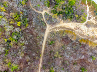 to forest in dry place
