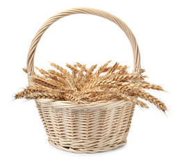 Wicker basket with ears of wheat on white background