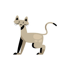 cute little beige cat