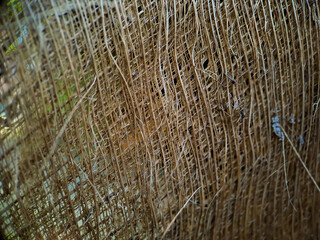 Close up of a coconut coir structure, shot on a coconut fiber tree, brown natural background for consumption and environmental production. commonly used for car seats, mattresses