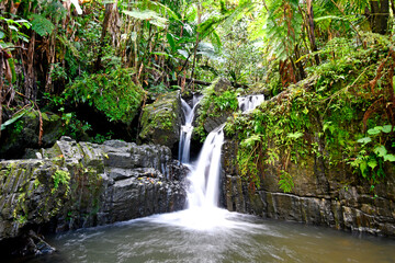 Waterfall hidden in El Yunque Rainforest on the island of Puerto Rico, the only tropical rain...